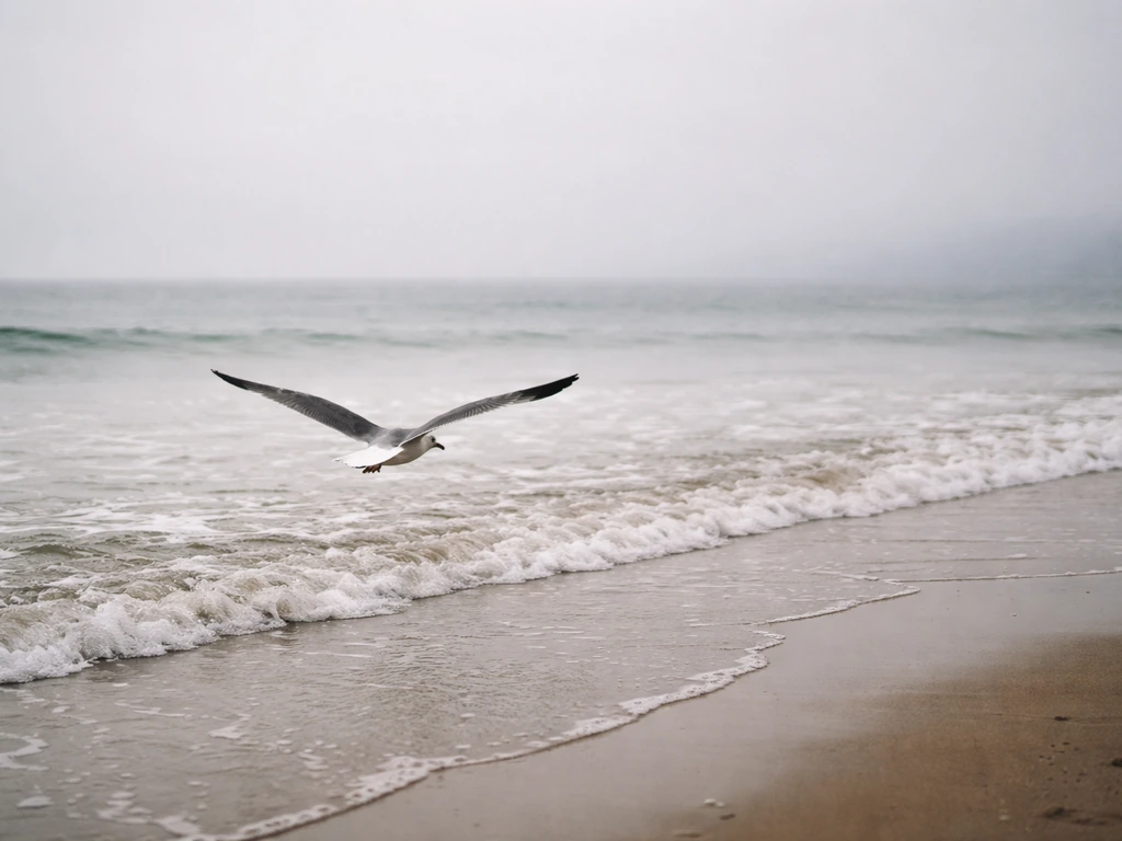 Seagull Bird Spiritual Meaning: What It Means and What to Do