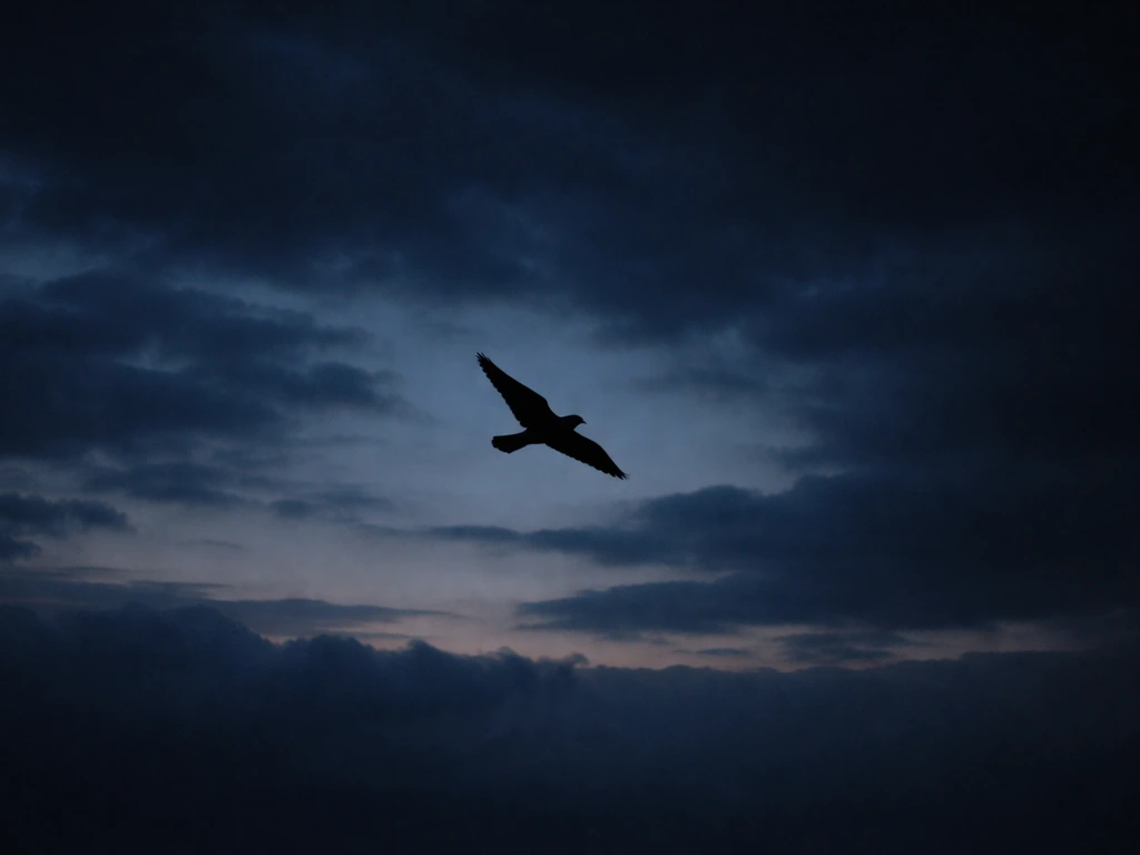Moody dusk sky with a nighthawk silhouette gliding through clouds, symbolizing night messages and protection.